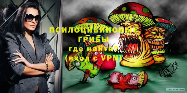 крисы Кодинск