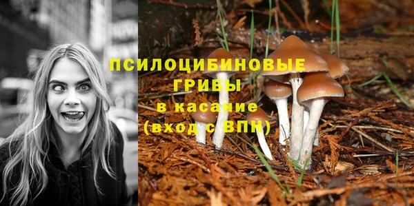 мдпв Новозыбков