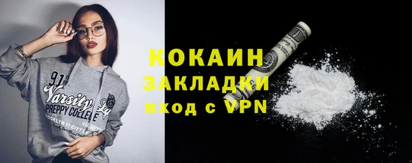 индика Медногорск