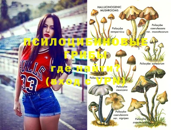 хмурый Козловка