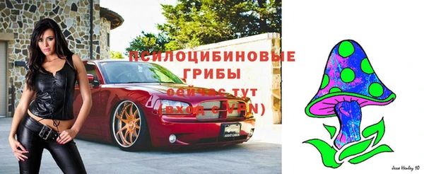 соль ск Калининец