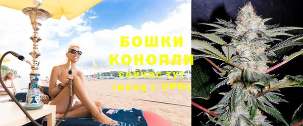 крисы Кодинск
