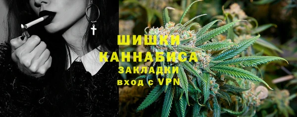 хмурый Козловка