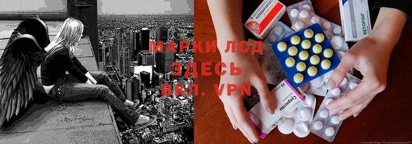 крисы Кодинск